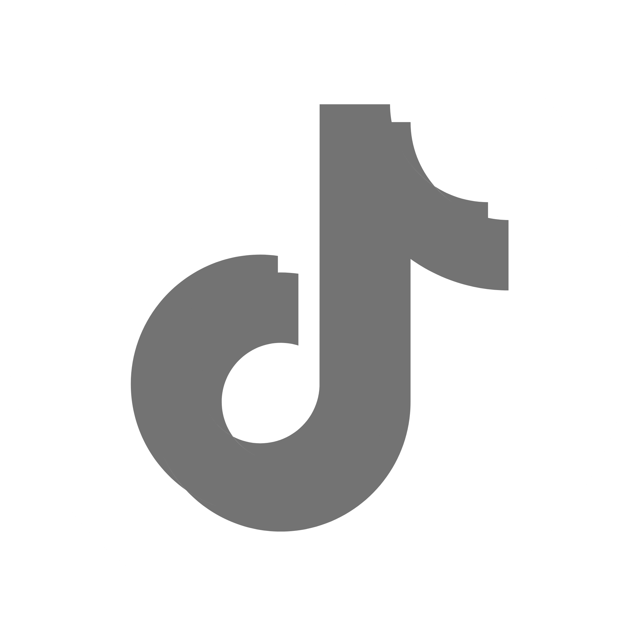 TikTok Icon